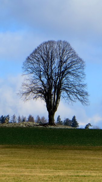 BuOLTL1 Joggingtour von Ebermannstadt nach Forchheim am 12.02.2016