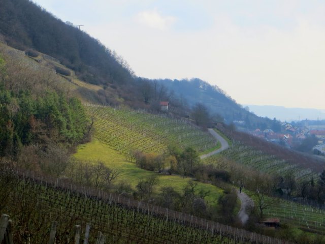 BuOLTL2 Joggingtour von Zeil nach Oberhaid am 18.02.2016