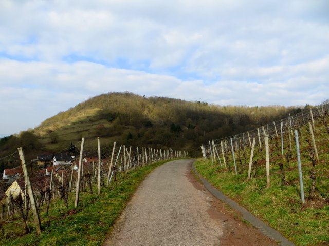 BuOLTL2 Joggingtour von Zeil nach Oberhaid am 18.02.2016