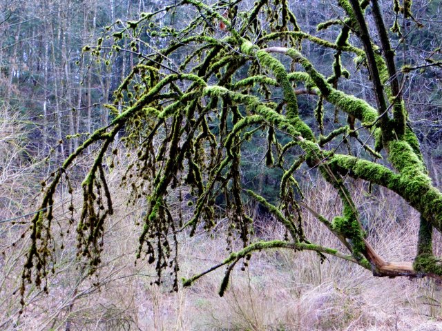 BuOLTL3 Joggingtour von Feucht mit Schwarzachklamm nach Altdorf am 24.02.2016