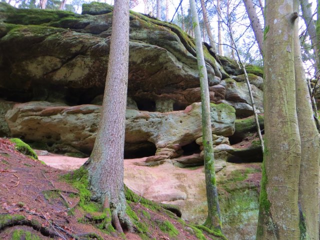 BuOLTL3 Joggingtour von Feucht mit Schwarzachklamm nach Altdorf am 24.02.2016