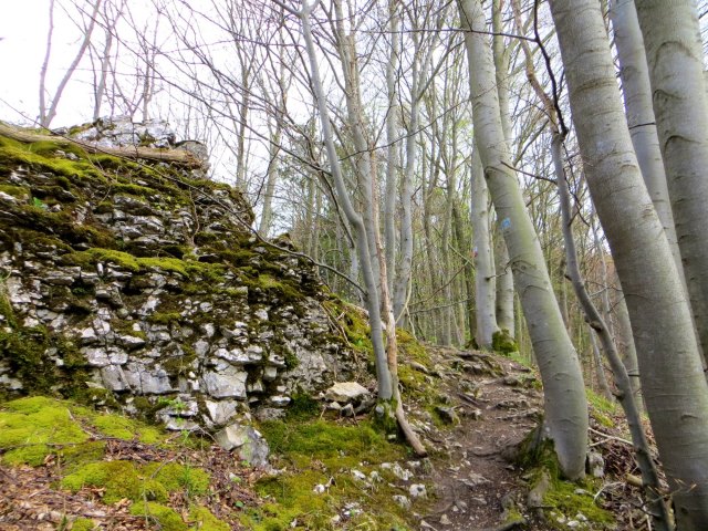 BuOLTL5 Joggingtour von Hartmannshof nach Hersbruck am 14.04.2016