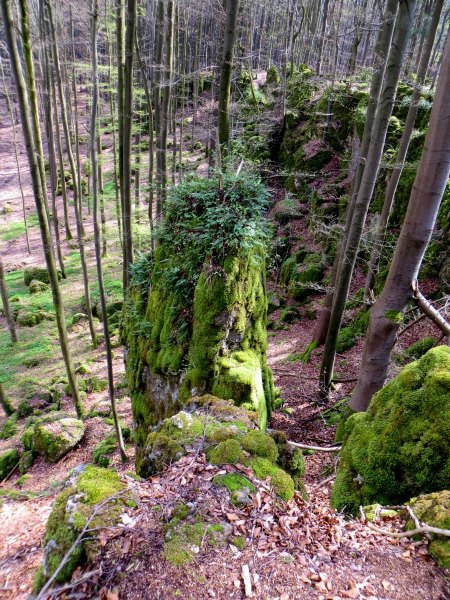 BuOLTL5 Joggingtour von Hartmannshof nach Hersbruck am 14.04.2016