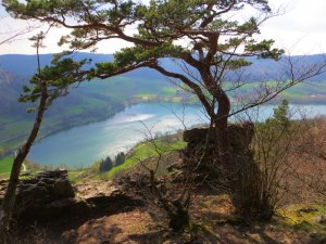 BuOLTL5 Joggingtour von Hartmannshof nach Hersbruck am 14.04.2016