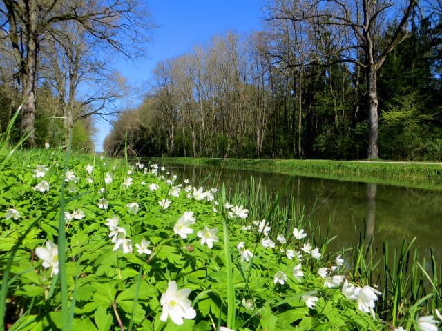 BuOLTL6 Joggingtour am Ludwig-Donau-Main-Kanal und der Schwarzachklamm von Neumarkt nach Feucht am 21.04.2016