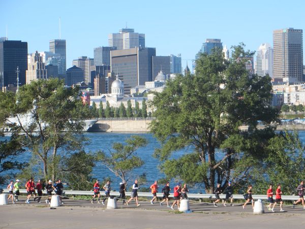 Montreal Marathon 2016