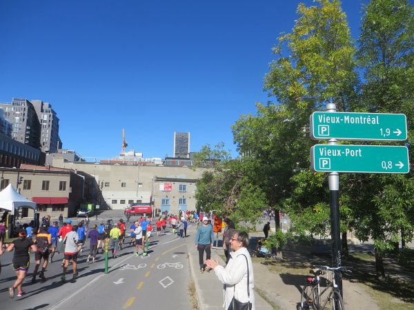 Montreal Marathon 2016