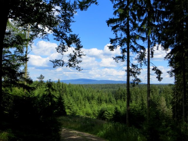 BuOLTL12 Joggingtour durchs sdliche Fichtelgebirge und Steinwald