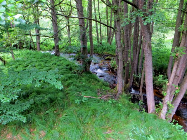 BuOLTL12 Joggingtour durchs sdliche Fichtelgebirge und Steinwald