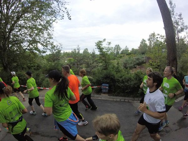 Tiergartenlauf Nrnberg