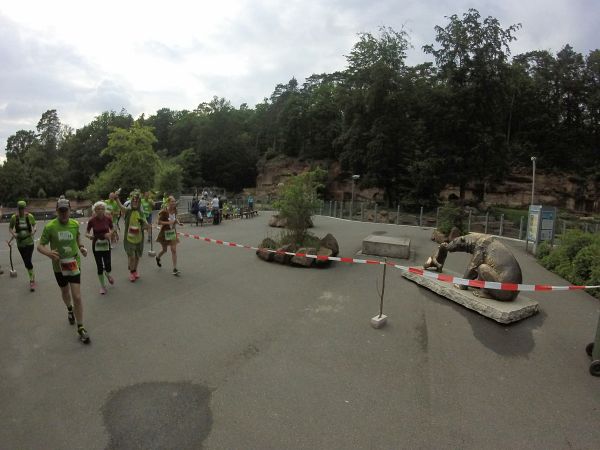 Tiergartenlauf Nrnberg