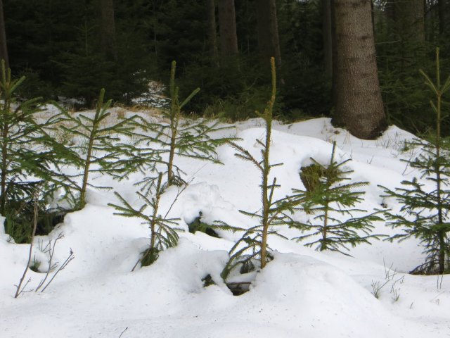 Tillenbergtour am 19.03.2016