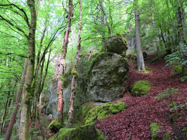 Frnkische Schweiz Orientierungslauf 2017