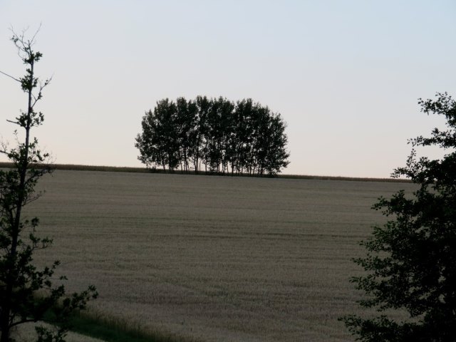 Hassberge Orientierungslauf 2017