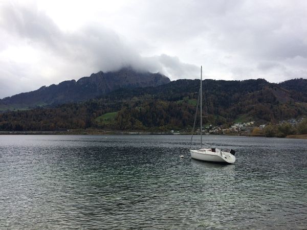 Luzern Marathon am 29.10.2017