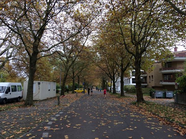 Luzern Marathon am 29.10.2017