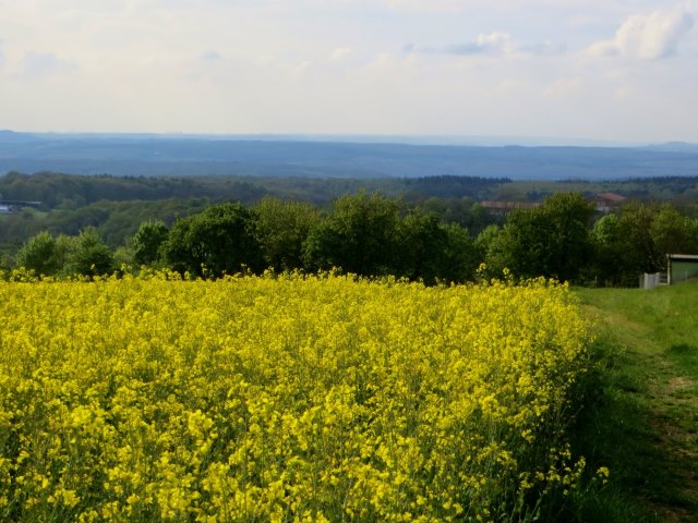 Saarland Orientierungslauf 2017