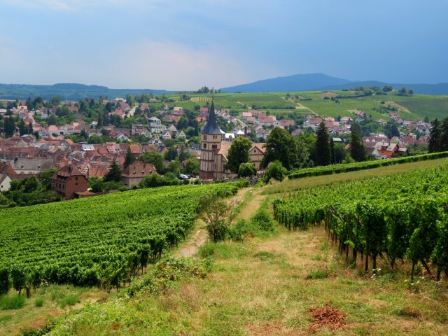 Bundesorientierungslauf 2018