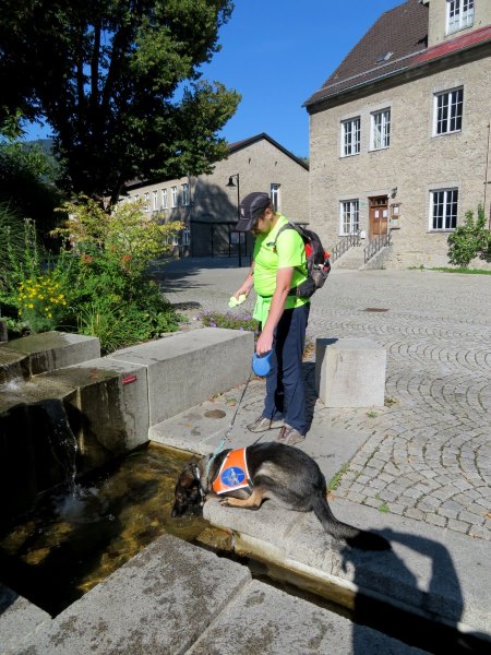 Bundesorientierungslauf 2018