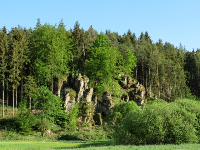 Frnkische Schweiz Orientierungslauf 2018 von Burgkunstadt nach Forchheim