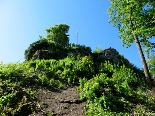 Frnkische Schweiz Orientierungslauf 2018 von Burgkunstadt nach Forchheim