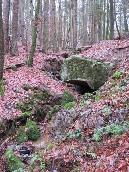 Nachtrglicher Geburtstagslauf von Forchheim auf die Rettener Kanzel am 23.12.2018