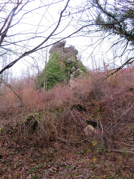 Nachtrglicher Geburtstagslauf von Forchheim auf die Rettener Kanzel am 23.12.2018