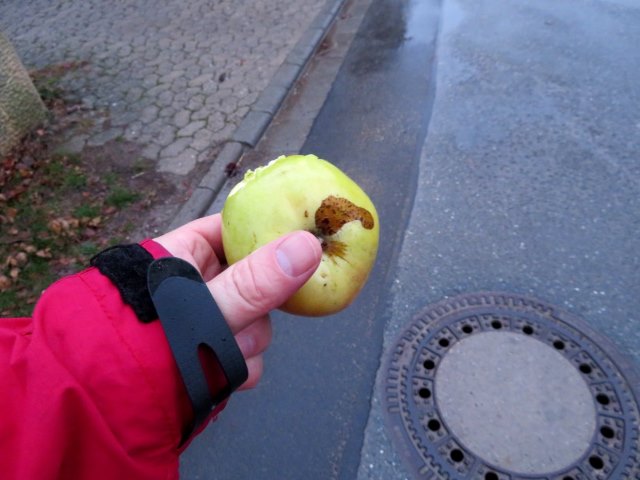 Nachtrglicher Geburtstagslauf von Forchheim auf die Rettener Kanzel am 23.12.2018