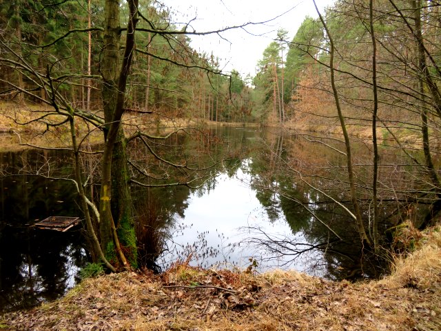 Peak Hunting Tour auf den Geiersberg beim Schwarzen Weiher westlich von Baiersdorf am 31.03.2018