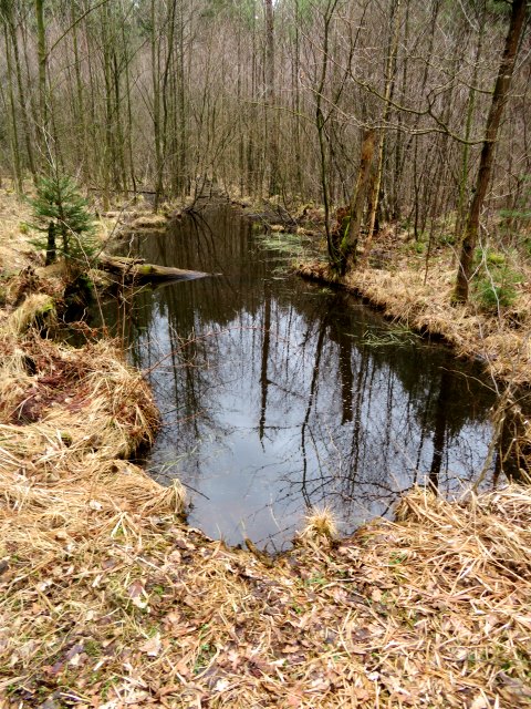 Peak Hunting Tour auf den Geiersberg beim Schwarzen Weiher westlich von Baiersdorf am 31.03.2018