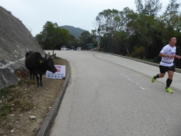 Hongkong Marathon 2018