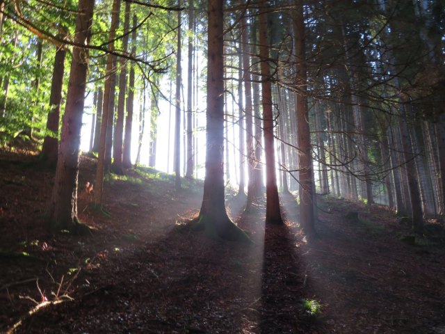 Knigsmarsch von Starnberg nach Fssen vom 08.06. - 11.06.2018