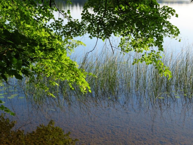 Knigsmarsch von Starnberg nach Fssen vom 08.06. - 11.06.2018