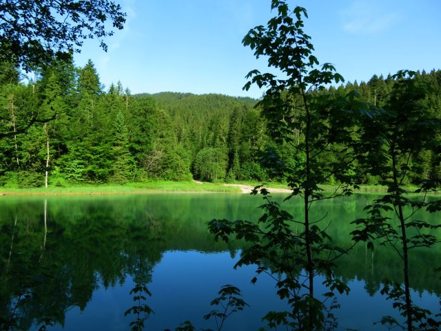 Knigsmarsch von Starnberg nach Fssen vom 08.06. - 11.06.2018