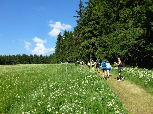 Rennsteig Marathon 2018