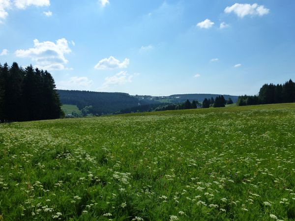 Rennsteig Marathon 2018