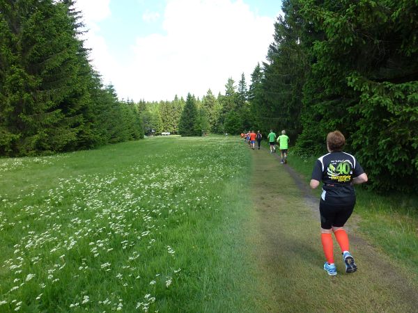 Rennsteig Marathon 2018