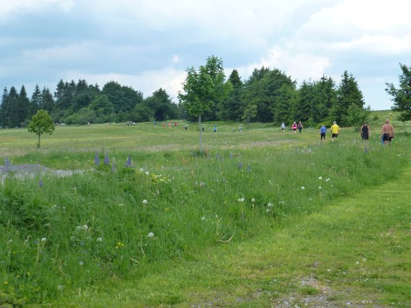 Rennsteig Marathon 2018