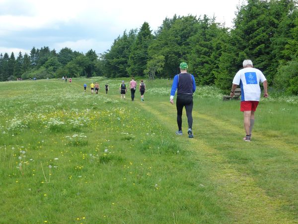 Rennsteig Marathon 2018