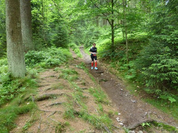 Rennsteig Marathon 2018