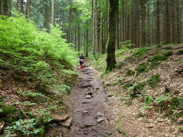 Rennsteig Marathon 2018