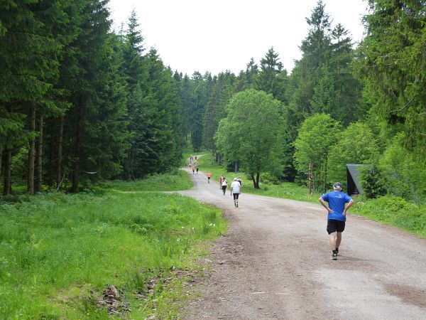 Rennsteig Marathon 2018