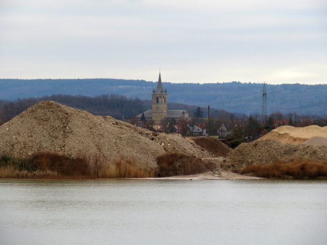 Lauf zu den Silberreihern am 24.01.2018