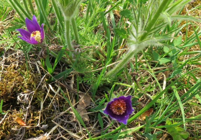 Joggingtour auf die Gipfel des Walberla am 22.04.2018