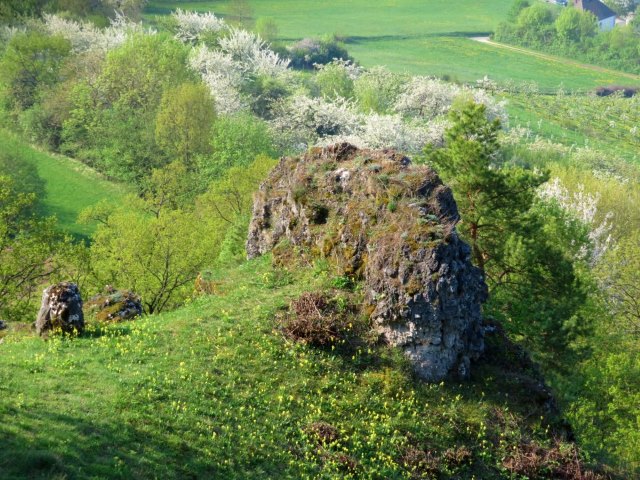 Joggingtour auf die Gipfel des Walberla am 22.04.2018