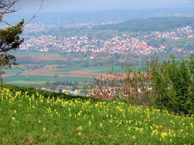 Joggingtour auf die Gipfel des Walberla am 22.04.2018