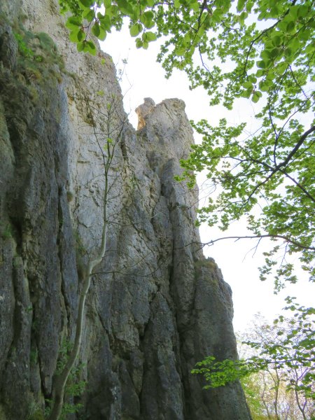 Joggingtour auf die Gipfel des Walberla am 22.04.2018