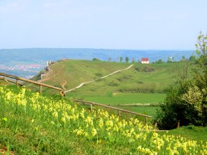 Joggingtour auf die Gipfel des Walberla am 22.04.2018