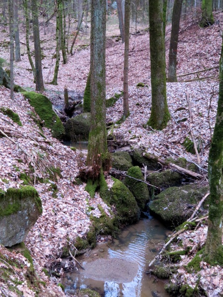 Peakhunter Joggingtour von Forchheim zum Auerberg