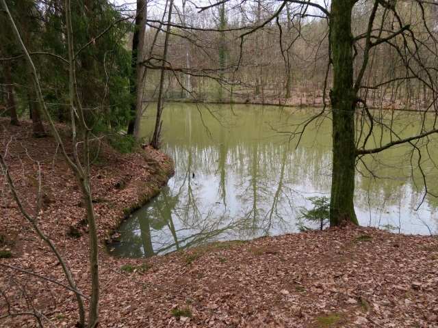 Peakhunter Joggingtour von Forchheim zum Auerberg